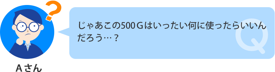 500Gは何に使ったらいいんだろう?