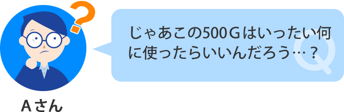 500Gは何に使ったらいいんだろう?